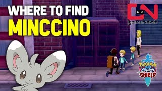 Where to find Missing Minccino  Pokemon Sword and Shield [upl. by Enidlareg676]