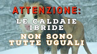 ATTENZIONE LE CALDAIE IBRIDE NON SONO TUTTE UGUALI [upl. by Einaffit]