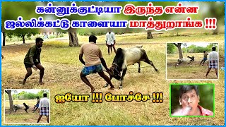 Jallikattu Training  ஜல்லிக்கட்டு காளையை இப்படிதான் பழக்குவாங்க  யாரும் அதிகம் பார்த்திராத வீடியோ [upl. by Michail]