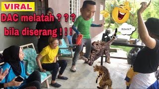 DAC melatah bila diserang  Geng Latah  behind the scene melatah fyi opocotmelatah lawak [upl. by Oigimer208]