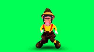 FREE Green Screen Dancing Monkeys 04 HD [upl. by Ihc]