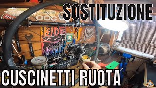 COME SOSTITUIRE I CUSCINETTI DELLA RUOTA MTB [upl. by Eniamrahs951]