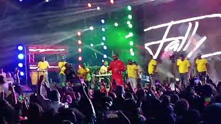 LIVE FALLY IPUPA FULL PERFORMANCE IN NAIROBI KENYA [upl. by Helas966]