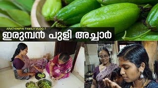 ഇരുമ്പൻ പുളി അച്ചാർ VLOG 7 Irumban Puli Achar Bilimbi Achar Pulinchikka Achar [upl. by Yerkovich175]