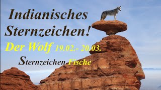 Indianisches Sternzeichen DER WOLF🐺 1902  2003 Sternzeichen Fische [upl. by Ttegdirb999]