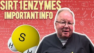 Sirt 1 Enzymes Important Information [upl. by Eiramik939]