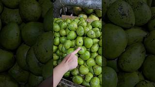 Tropical Fruits and Green Mango at Biñan Night Market BazaarFilipinler Pazarı Yeşil Mango shorts [upl. by Devona337]