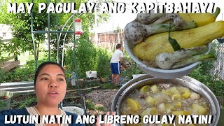 BUHAY AMERIKA MAY MGA PADALA ULIT SI MAYORA KAINA MADER AT PADER NAKA LIBRENG GULAY [upl. by Lennad]