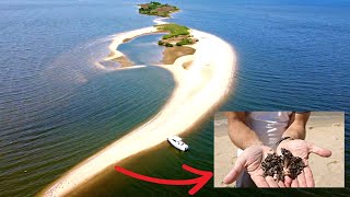 Mysterious Island in Virginia has MILLIONS of Shark Teeth The Legend of Shark Tooth Island [upl. by Arait230]