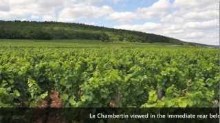 UNESCO SITE WINE From BURGUNDY  FAMOUS Grands Crus of GevreyChambertin [upl. by Ellimahs]