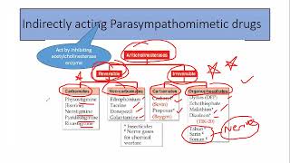 Parasympathomimetic drugs part 2 [upl. by Hesky186]