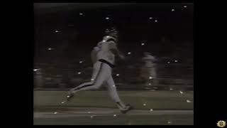 Greg Luzinskis Epic Rooftop Homerun 1984  Comiskey Park [upl. by Vick847]