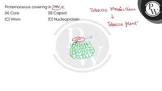 Proteinaceous covering in TMV is [upl. by Olnay]