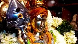 tamil kadavul Murugan whatsapp status full screen HD ✨ [upl. by Olimreh279]