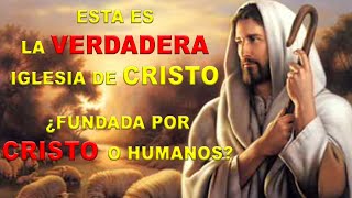 ¿Cuál es la iglesia que Cristo fundó ¿Qué dice la Biblia ¿Es la Iglesia Católica Padre Amatulli [upl. by Ditter]