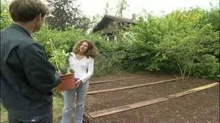 Gartentipps Beet anlegen ein Bauernbeet selbst gemacht [upl. by Jannery333]