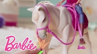 Barbie® DreamHorse FRV36  BarbieFrancais [upl. by Tarton]