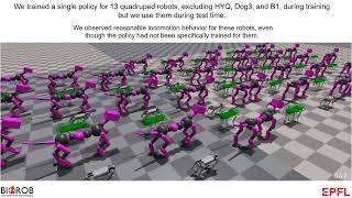 ManyQuadrupeds Learning a Single Locomotion Policy for Diverse Quadruped Robots [upl. by Drusi]