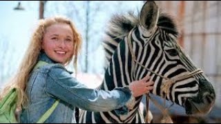 Racing Stripes Full Movie Fact Review amp Information  Bruce Greenwood  Hayden Panettiere [upl. by Enelav]