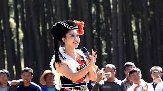 China song and dance Chinese traditional song 4K [upl. by Rieth666]