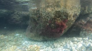 🤿🐠Kremidi Zakynthos Greece underwater sealife Snorkeling 2024 September GoPro Quik Studio  4K [upl. by Noscire]