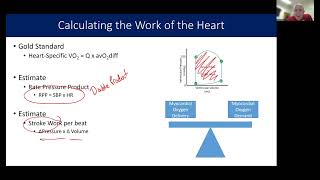 Cardiovascular Response to Exercise [upl. by Tatiania475]