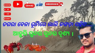 dagra bela bhumire lali kankada sahita ahuri sundara sundara drusya [upl. by Ameerahs]