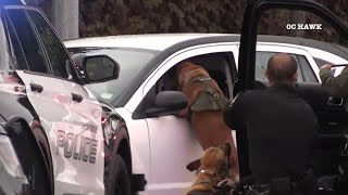 K9 helps Anaheim police officers take carjacking suspect into custody [upl. by Alak]