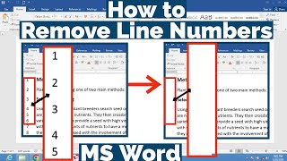 How to Remove Line Numbers From MS Word Document  Remove Line Numbers in MS Word Document  MS Word [upl. by Leacim]