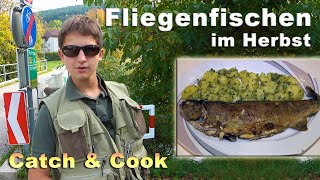 Fliegenfischen  Forellen fangen und zubereiten  Forellenfischen an der Piesting im Herbst [upl. by Ahsirk82]