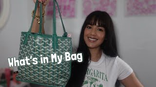 WHAT’S IN MY BAG  GOYARD Anjou Mini Bag [upl. by Standish]