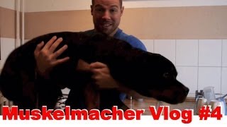 Muskelmacher Vlog 4  Qualität von Unterhosen und Hundefutter [upl. by Meenen]