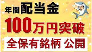 年間配当金100万円突破。現在の保有銘柄、配当金を公開 [upl. by Oiratnom]