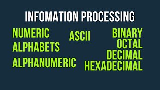 Information Representation  Understanding how data is represented on your computer [upl. by Karp524]