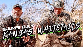 BIG BUCKS in Kansas 20 Yards Bow Hunting [upl. by Lindi]