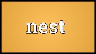 Nest Meaning [upl. by Clevie]