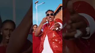 Bruce Melodie ft bwiza OGERAofficial video [upl. by Wehttam]