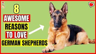 8 Awesome Reasons to Love German Shepherds as Your Perfect Canine Companion [upl. by Aicilyt]