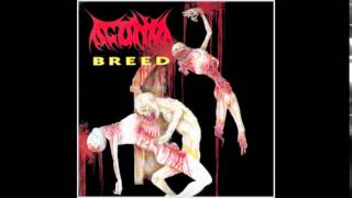 Agonia  Breed Full EP [upl. by Accber]