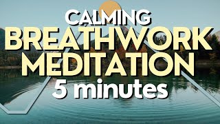 5 Minute Breathwork Meditation for Anxiety [upl. by Gwen]