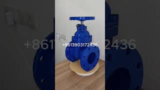 DN100 PN16 side lock soft seal gate valves with non risen stem gatevalve valve gatevalves [upl. by Enowtna]