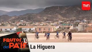 La higuera  Frutos del país  T2018E4 [upl. by Ilahsiav339]