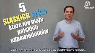 5 Śląskich Słów Które Nie Mają Polskiego Odpowiednika [upl. by Ohara]