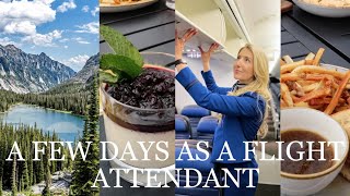 Flight Attendant Vlog My Favorite Domestic Layover Missoula Montana🌲⛰️ [upl. by Guarino]