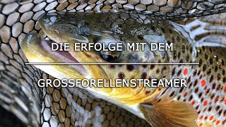 Die Erfolge mit dem Grossforellenstreamer  Fliegenfischen [upl. by Aruam]