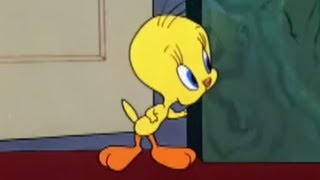 Tweety Bird  Looney Tunes  Moviegames 2014 HD [upl. by Groome]