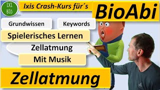 Zellatmung Keywords und Grundwissen spielerisch mit Musik lernen Schlüsselwortmethode BioAbi [upl. by Alysoun]