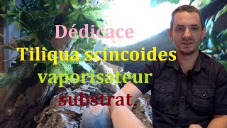 Dédicace Tiliqua scincoides vaporisateur substrat et petit bonus [upl. by Humphrey589]