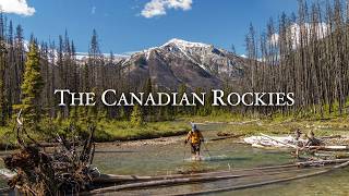 Solo Hiking in the Canadian Rockies Wilderness for 6 Days [upl. by Emee258]