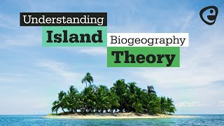 What is Island Biogeography Theory [upl. by Symon715]